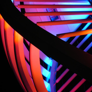 Rednblue_spinnaker_card