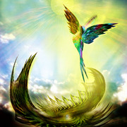 Www_card