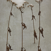 Winter_burden_card