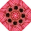 Umbrella11_thumb