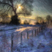 Sunset_fence_card
