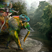 Elefant-neu_card