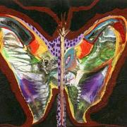 Pintura_borboleta_card