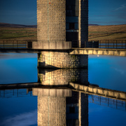 Balderhead_reflection_card