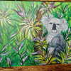 Koala_051_thumb