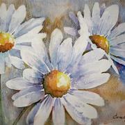 Bele_rade_38_card