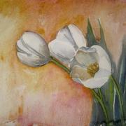 Lale_6__medium__card