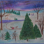 Img_8346_winter_scene__crop___blue_border_card