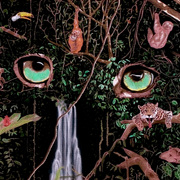 Jungleyes_card