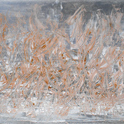 Ab-i_hayat__mercan_dede__ii__2010__a-pp__50x70_card