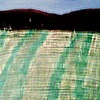 Countryimg_0764_thumb