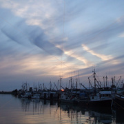 Xfishboats8781_card