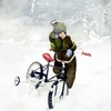 Forecastmoresnow_thumb