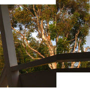 12-22-10_rainbow_card