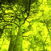 ______3032_card