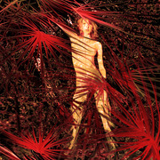 Tree_woman_olhares_card