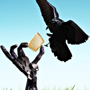 Cheese_card