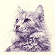 Cat_small_card