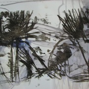 Img_4937_card