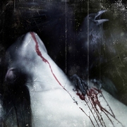 Rthtyj_card