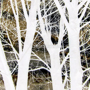 94374-12-ghost_watermark_card