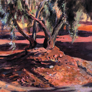 El-olivo-atardecer_card