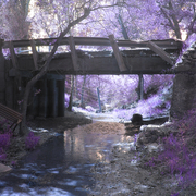 Fairybridge_card