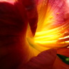 Dscn0855_thumb