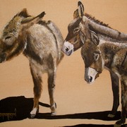 Donkey_es_card