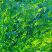Forest_through_the_trees_card