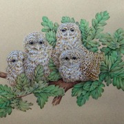 Family_card