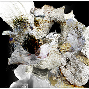 Coral_reef_triptych_card
