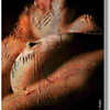 Victim_4_thumb