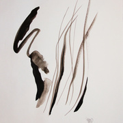 Img_0649__2__card