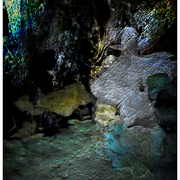 Black_water_reef_card