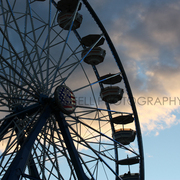 Ferris-wheel_card