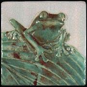 Frog_card