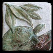 Turtle_card