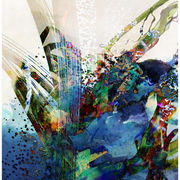 Seaweed_card