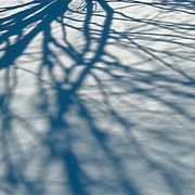 Winter_shadows_card
