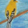 Img_1056_thumb