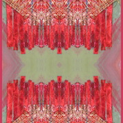 Img_8597_or_nament_card