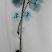 Orchids_6_card