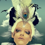 Lady_swallow_small_card