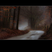 The_road_to_kentuck_card