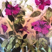 Hibiscus_cycle_version_3_by_jetjames-d35hc01_card
