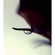 Img_0063_by_freede_card