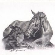 Mare___new_foal_3_card