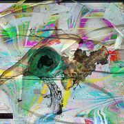 Bird_2_card