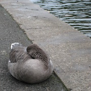 Img_0199_card